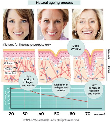 age-mineral-density